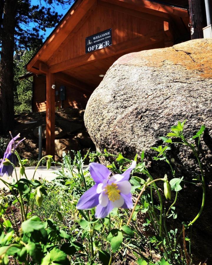 Riverview Pines Villa Estes Park Kültér fotó