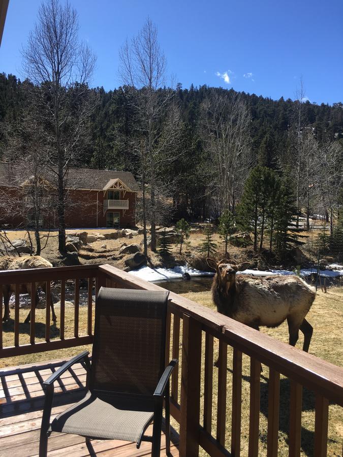 Riverview Pines Villa Estes Park Kültér fotó