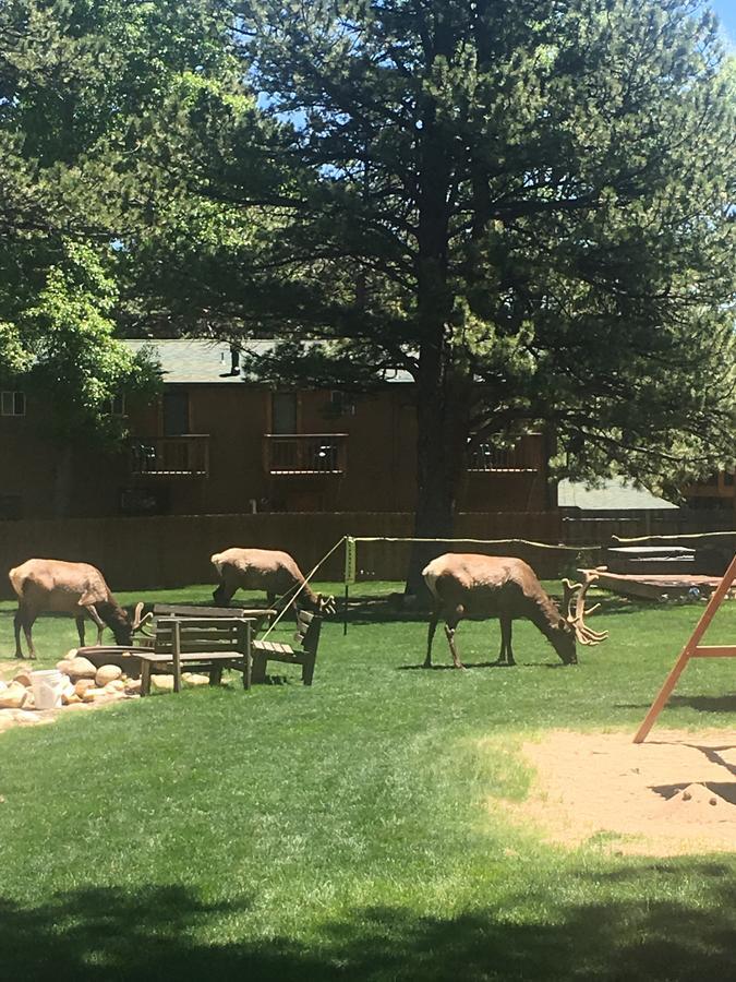 Riverview Pines Villa Estes Park Kültér fotó